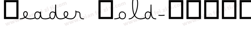Reader Bold字体转换